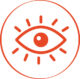 vision vision
